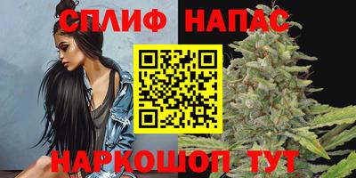 шишки Можайск