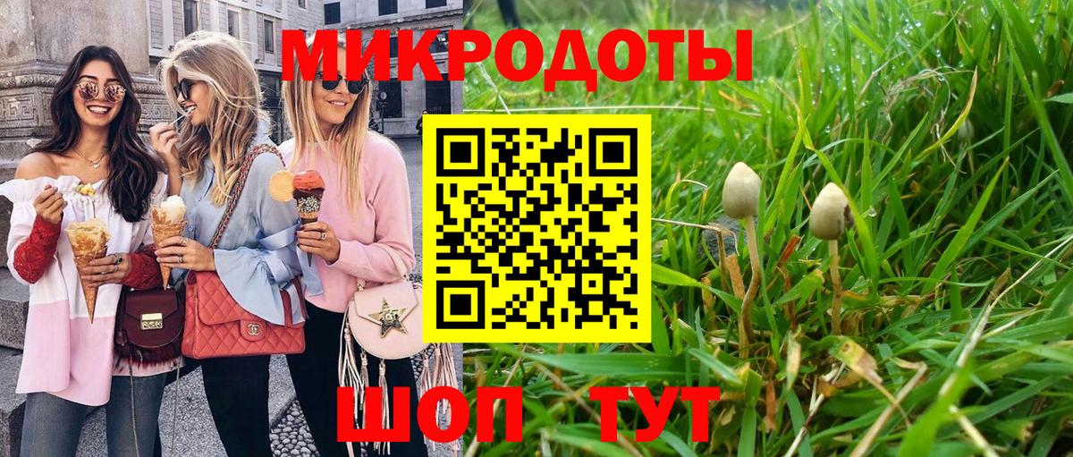 Артём  Псилоцибиновые грибы Psilocybine cubensis  Вход с VPN 